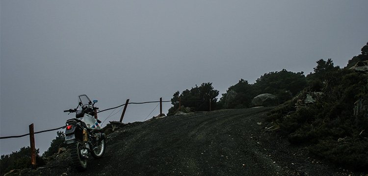 Fox Hunt 8-1 Pushing on in adverse conditions can pay off