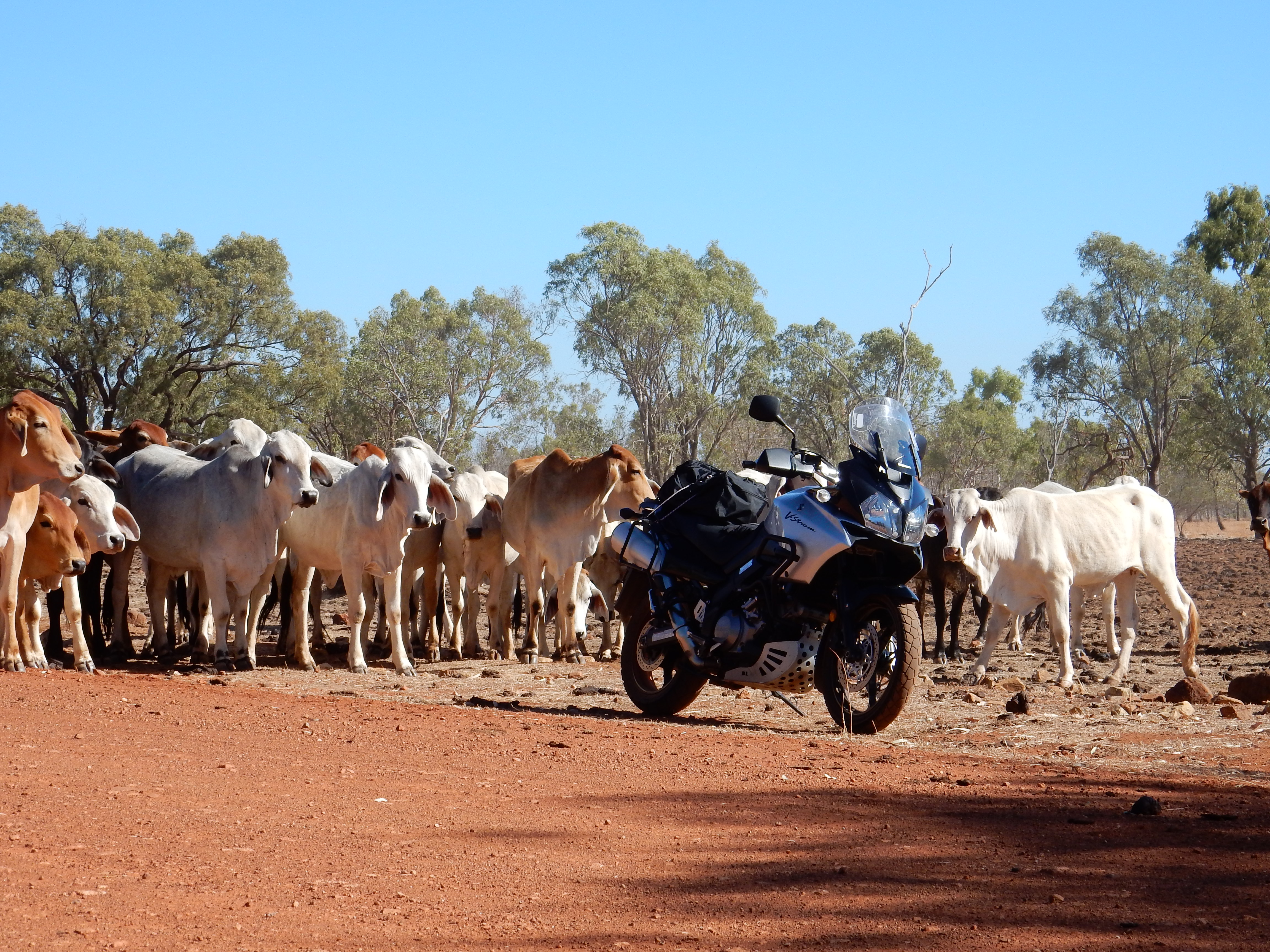 Chillagoe to Cobbold Gorge