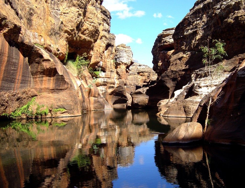 Cobbold Gorge. An unexpected oasis.
