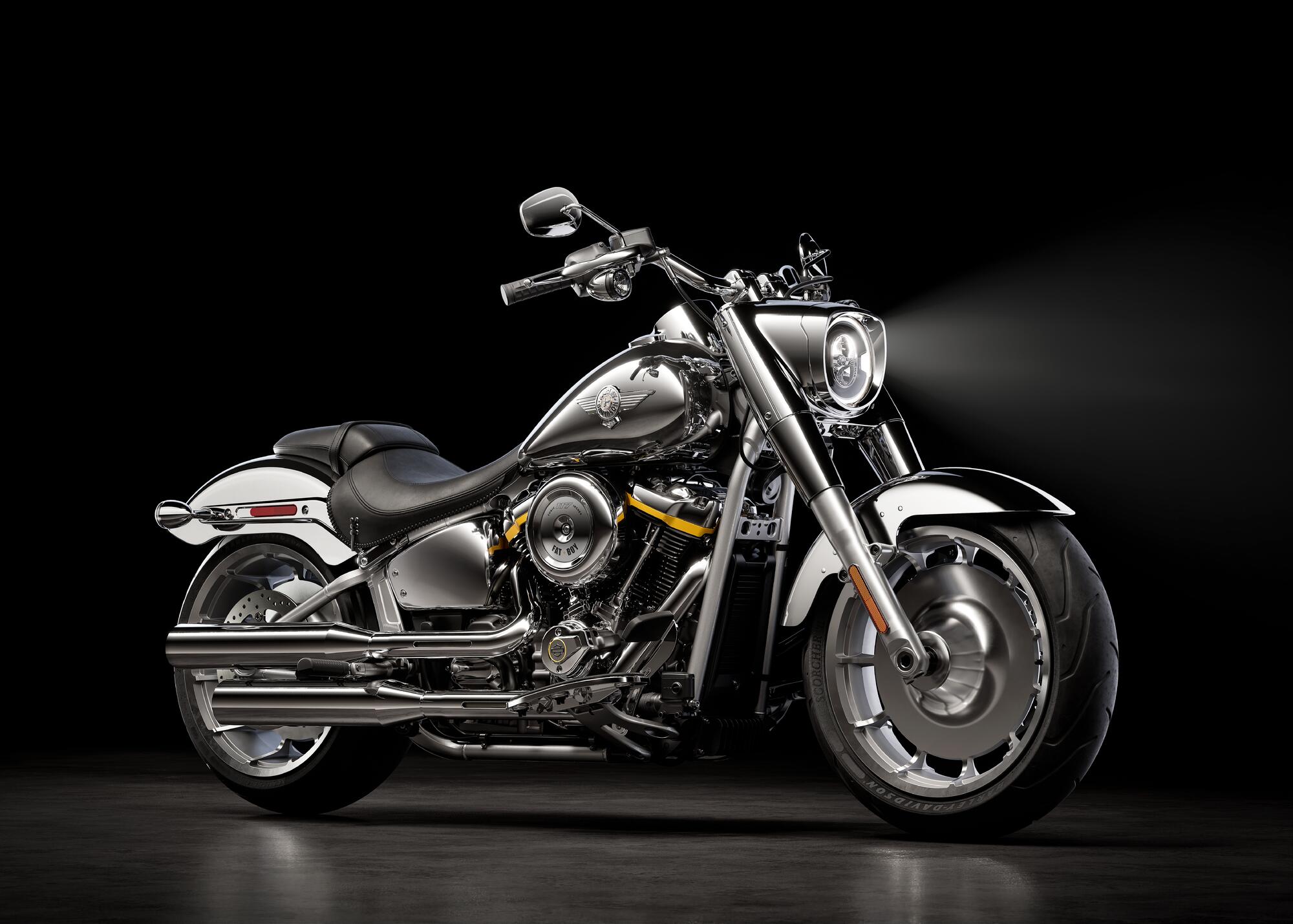 flstfi_hd_studio_2024_3x4