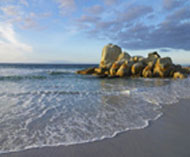 Destination_tasmania-3093