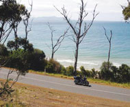 australasiagreatestroads-9971 australasiagreatestroads-9971