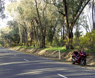 beechworth-4585 beechworth-4585